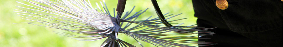 Banner - Oliver Wölfl